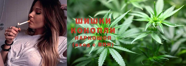 ПСИЛОЦИБИНОВЫЕ ГРИБЫ Калач