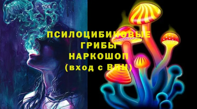 Псилоцибиновые грибы MAGIC MUSHROOMS  МЕГА маркетплейс  Любим 